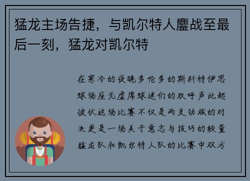 猛龙主场告捷，与凯尔特人鏖战至最后一刻，猛龙对凯尔特